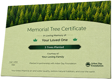 Plant Trees in Memory of Deborah Yvonne Andrews